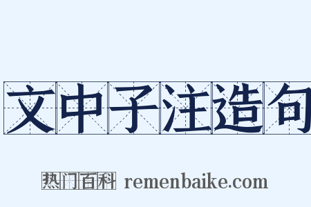 文中子注造句是什么意思的图片